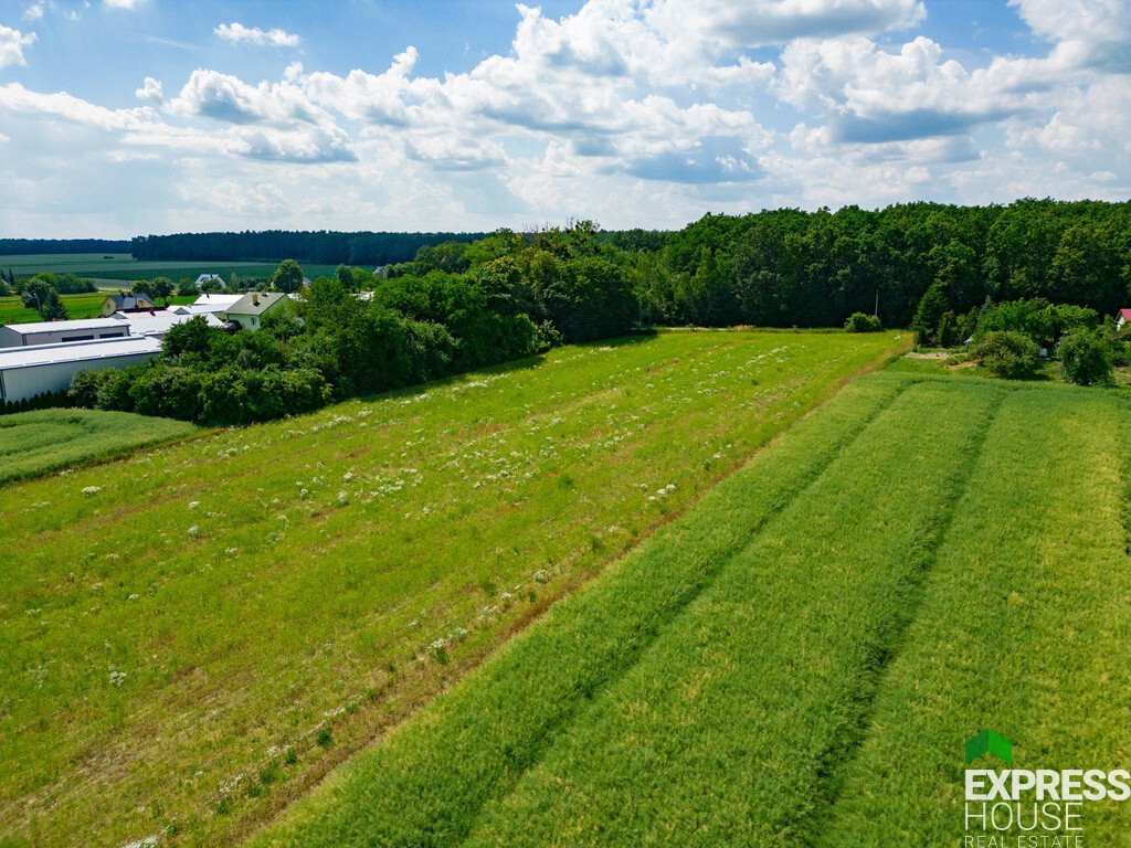 Działka siedliskowa na sprzedaż Pawłów  1 147m2 Foto 5