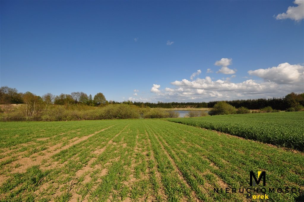 Działka budowlana na sprzedaż Bardy  60 400m2 Foto 1