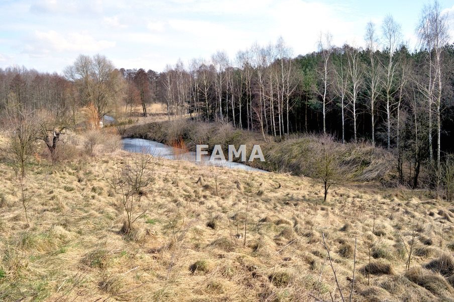 Zapraszam do zakupu działki 5796 m² z jeziorkiem i mediami Orle  5 796m2 Foto 1