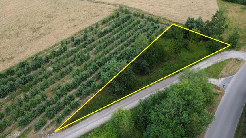 Działka budowlana na sprzedaż Prace Duże  1 300m2 Foto 1