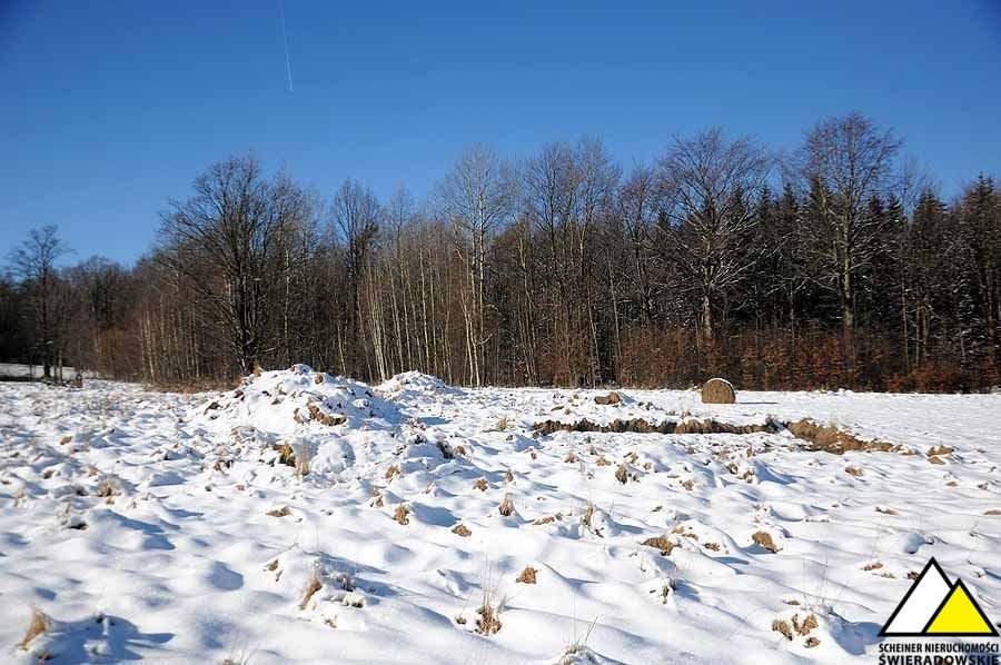 Działka budowlana na sprzedaż Kłopotnica  6 785m2 Foto 15