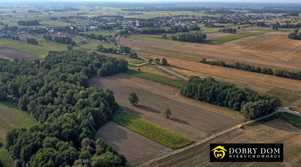 Działka budowlana na sprzedaż Krypno Kościelne  1 362m2 Foto 8