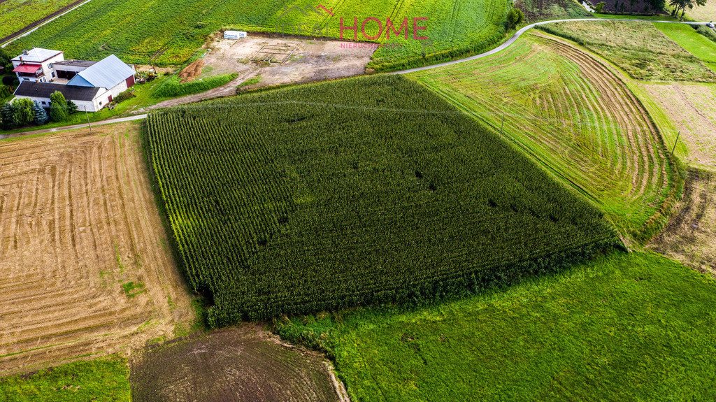 Działka rolna na sprzedaż Gać  1 586m2 Foto 7