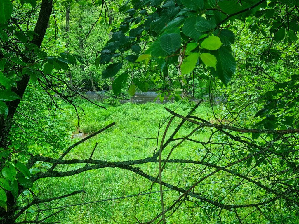 Działka inna na sprzedaż Niemojów  22 900m2 Foto 12