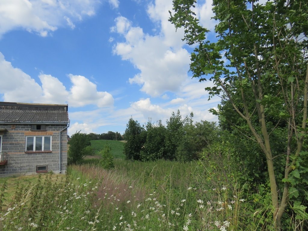 Działka 1566 m² w Proszowicach - teren pod zabudowę wielofunkcyjną Proszowice  1 566m2 Foto 1