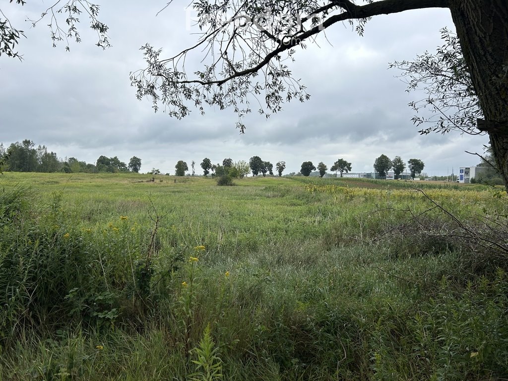 Działka budowlana na sprzedaż Czosnów  2 361m2 Foto 1