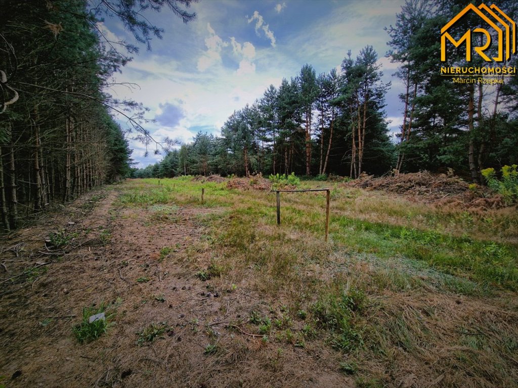 Działka inna na sprzedaż Żdżary  1 200m2 Foto 9