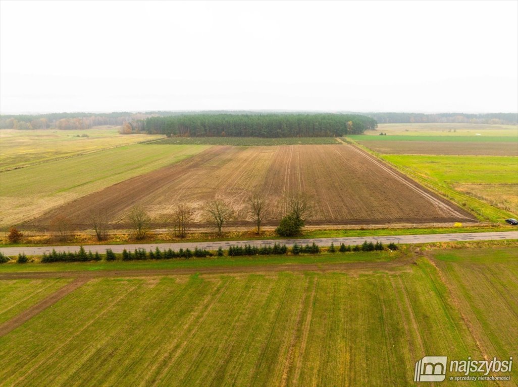 Działka budowlana na sprzedaż Węgorza, Wieś  1 498m2 Foto 15