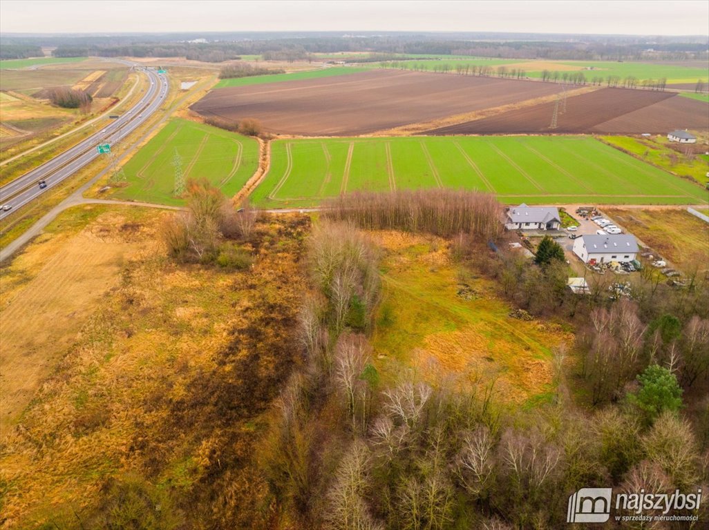 Działka rolna na sprzedaż Żółwia Błoć, Wieś  23 800m2 Foto 15