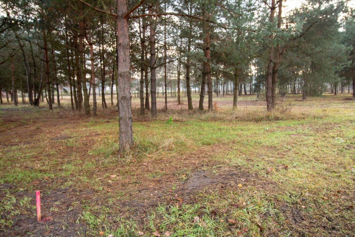 Działka budowlana na sprzedaż Koszęcin, Słowików  500m2 Foto 8