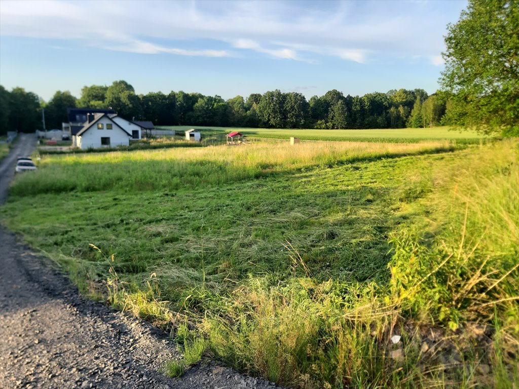 Działka budowlana na sprzedaż Koźlice  1 780m2 Foto 1