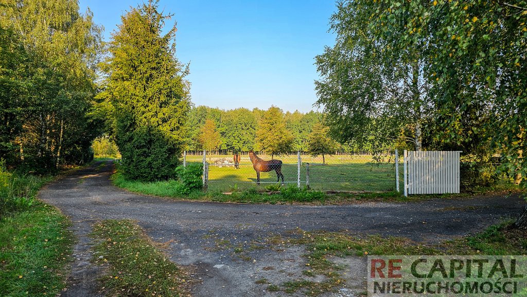 Działka budowlana na sprzedaż Borzęcin Duży  1 500m2 Foto 7