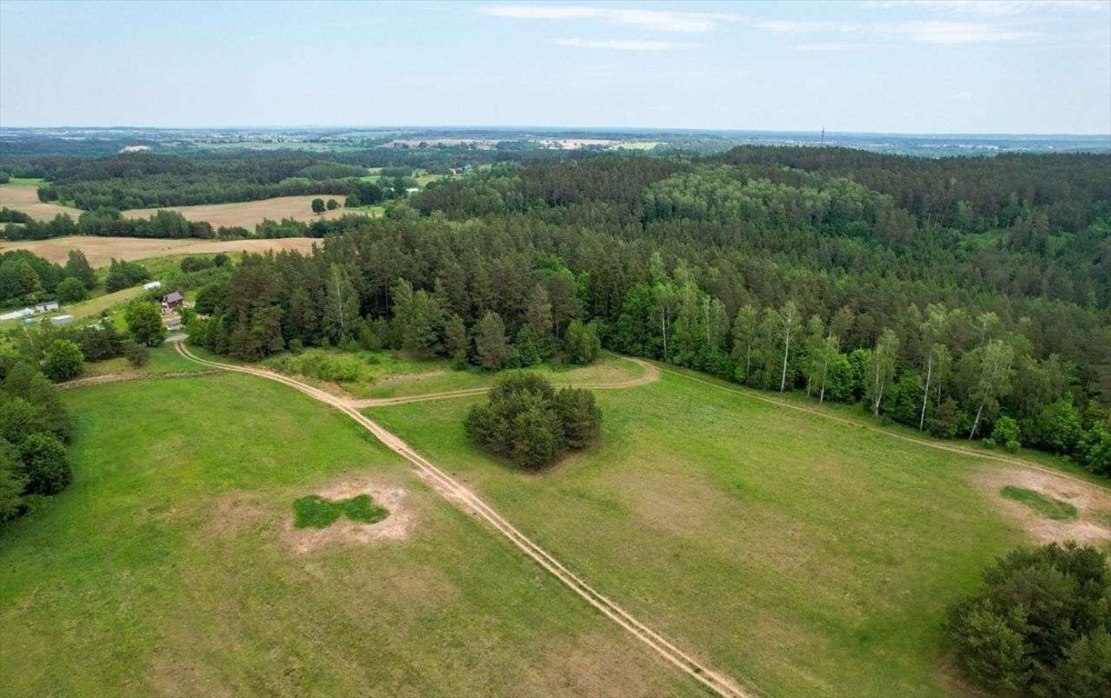 Działka rolna na sprzedaż Nowe Krzywe  3 011m2 Foto 4