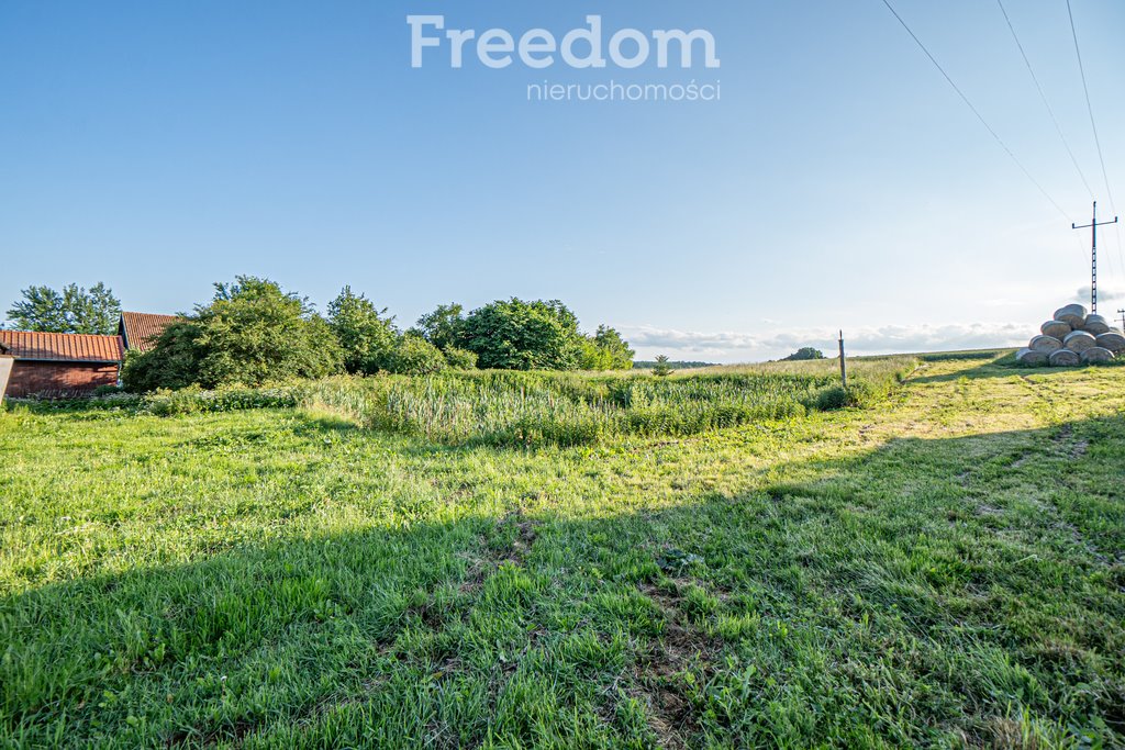 Działka siedliskowa na sprzedaż Młynary  3 311m2 Foto 13