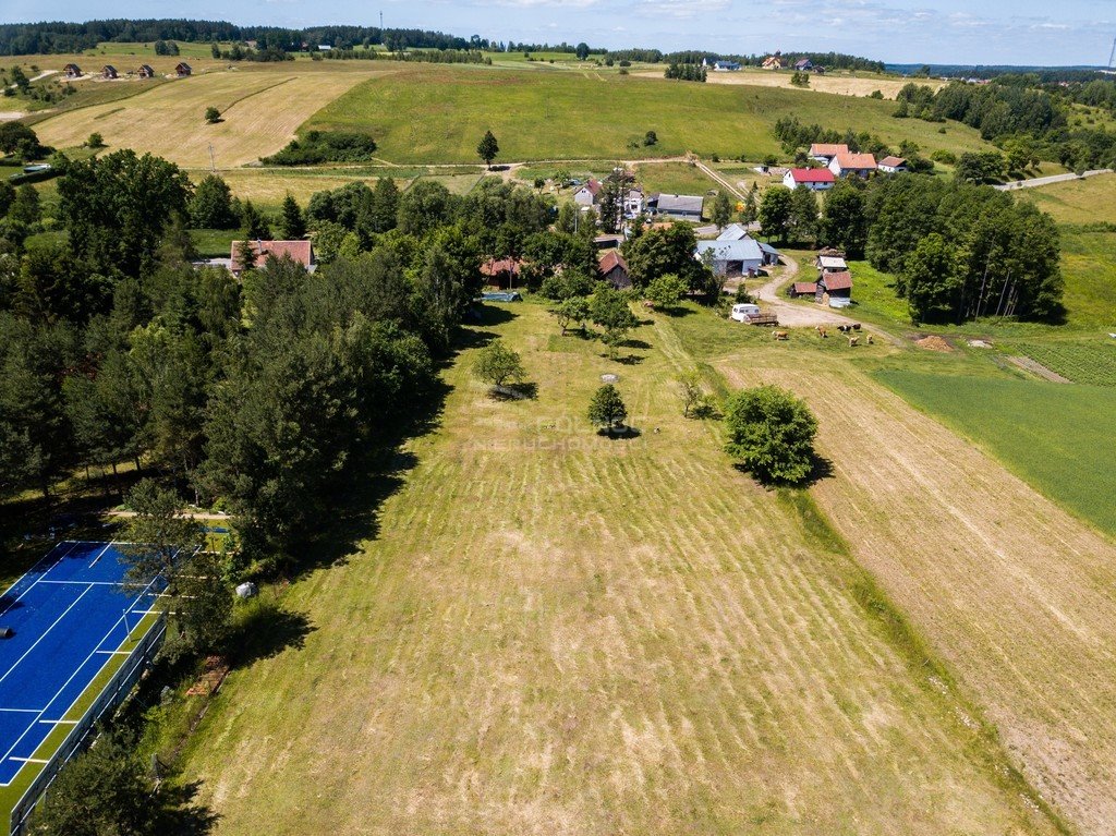 Działka siedliskowa na sprzedaż Liski  6 600m2 Foto 13