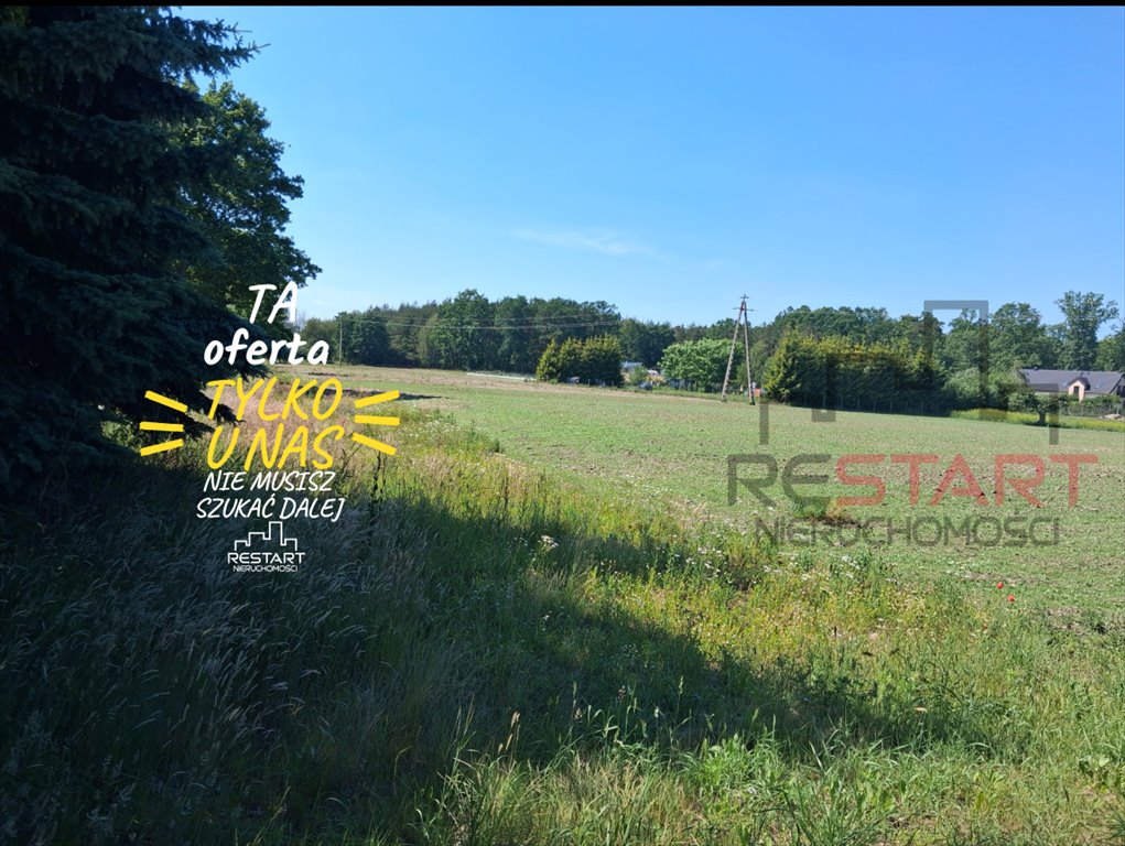 Kompleks 4 działek pod inwestycję lub dom w otulinie Parku. Grochowa  6 000m2 Foto 1
