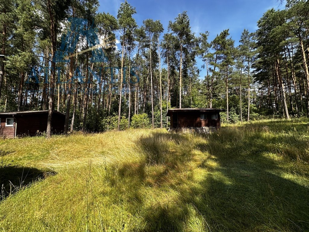 Lokal użytkowy na sprzedaż Błądzim  901m2 Foto 8