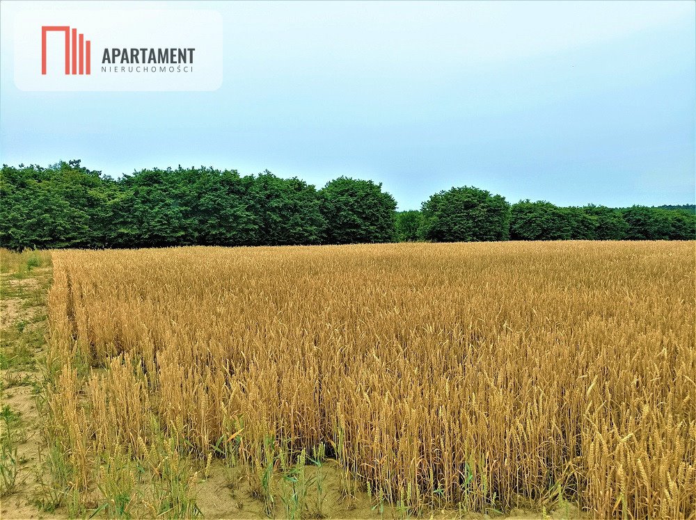 Działka budowlana na sprzedaż Osówiec  862m2 Foto 2