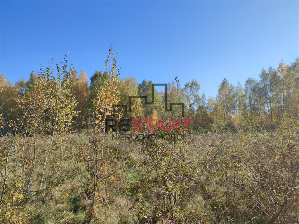 Działka rolna na sprzedaż Adamów-Parcel  20 800m2 Foto 6