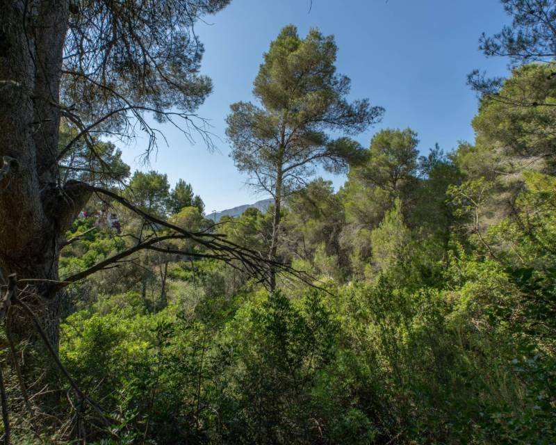 Działka budowlana na sprzedaż Hiszpania, Javea, Hiszpania, Rafalet  1 100m2 Foto 2