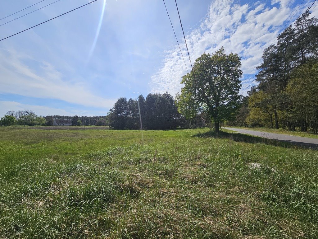 Działka budowlana na sprzedaż Lubiszyn  6 563m2 Foto 6