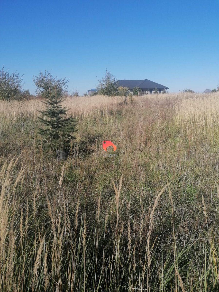 Działka przemysłowo-handlowa na sprzedaż Barcin-Wieś  1 200m2 Foto 4