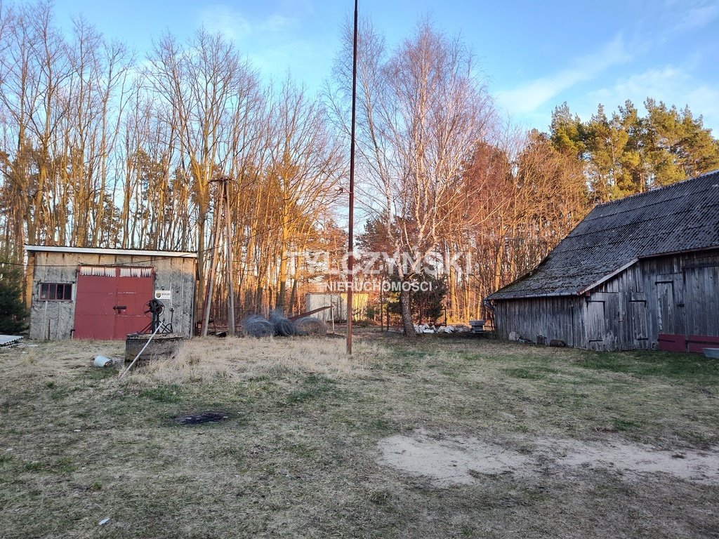 Działka rolna na sprzedaż Kaleń  40 000m2 Foto 8