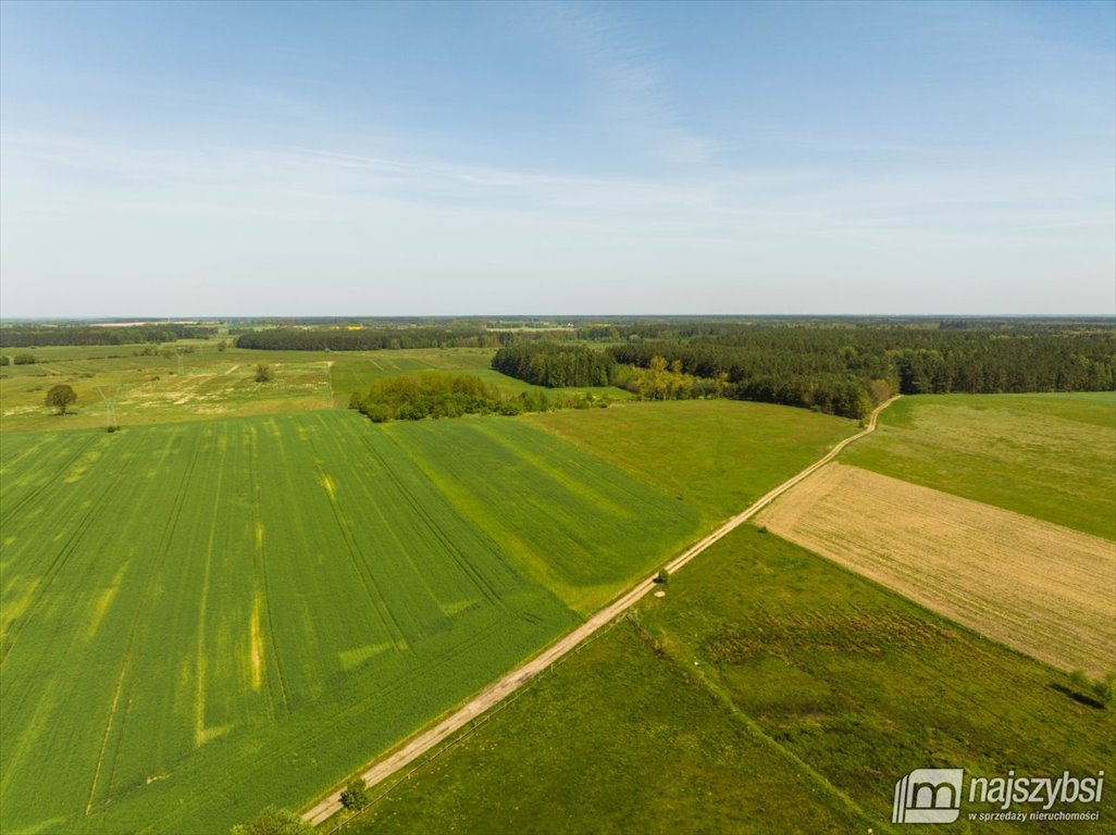 Działka rolna pod dzierżawę Przybiernów  15 202m2 Foto 3