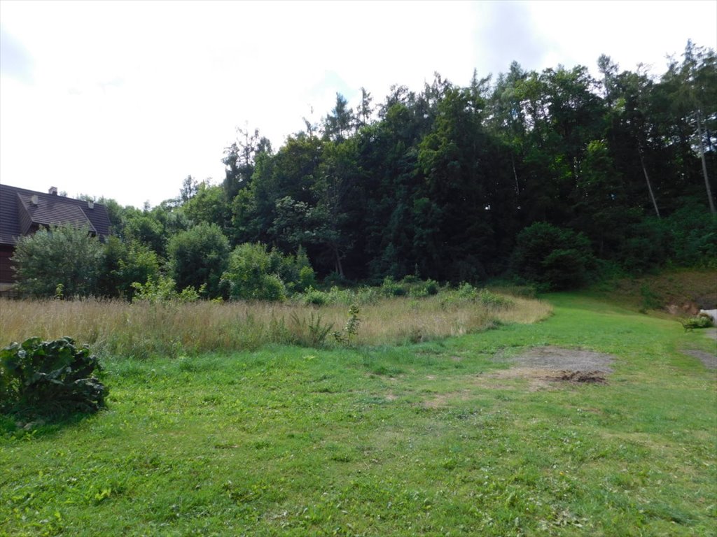 Polecam działkę budowlaną 1200 m² z widokiem na góry i las Duszniki-Zdrój, Miejska Górka  1 200m2 Foto 1