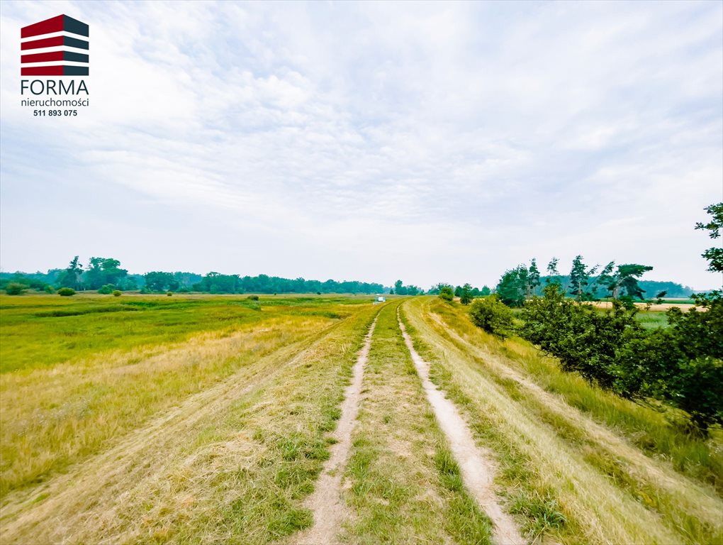 Działka leśna na sprzedaż Pięczkowo, Pięczkowo, sportowa 212/1  35 280m2 Foto 5