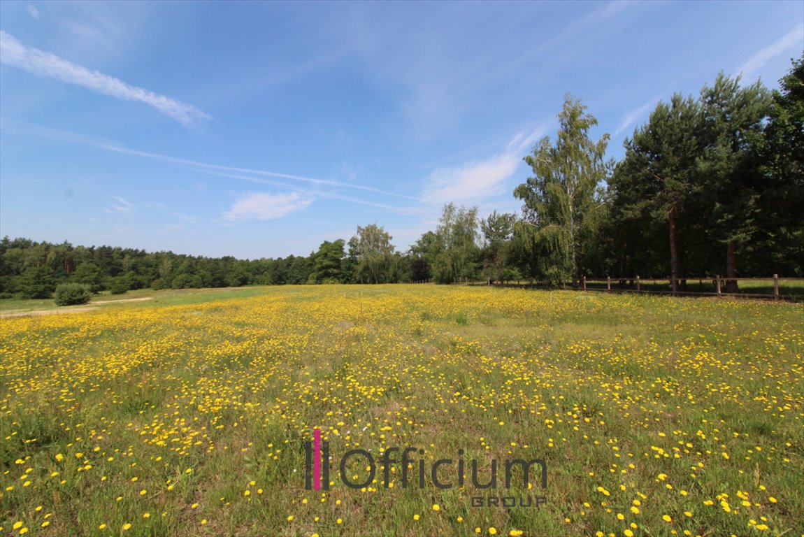 Działka budowlana na sprzedaż Gościeńczyce  3 000m2 Foto 1