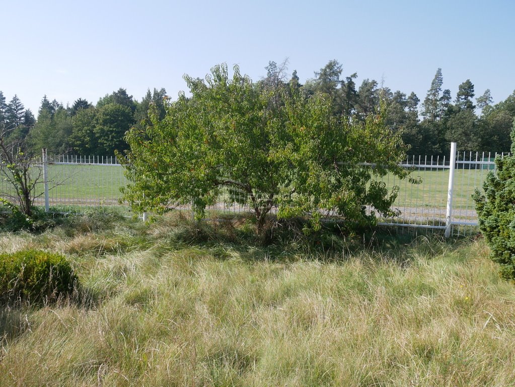 Działka komercyjna na sprzedaż Olszanica  820m2 Foto 9