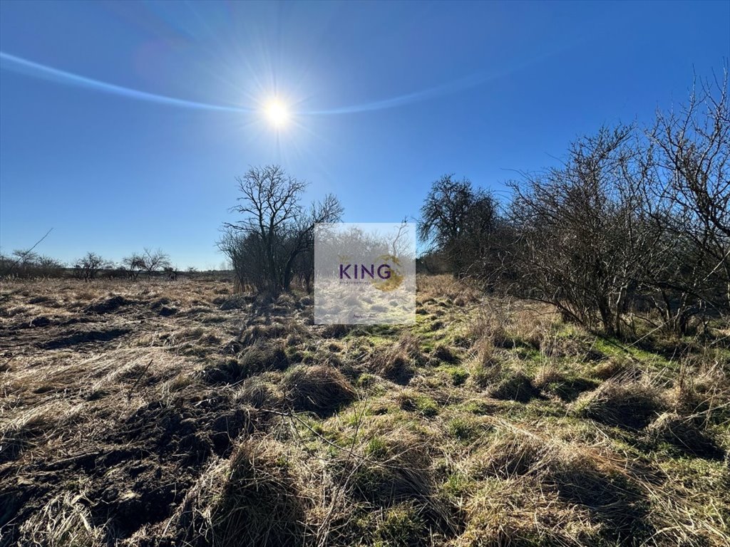 Działka budowlana na sprzedaż Gryfino  2 440m2 Foto 1