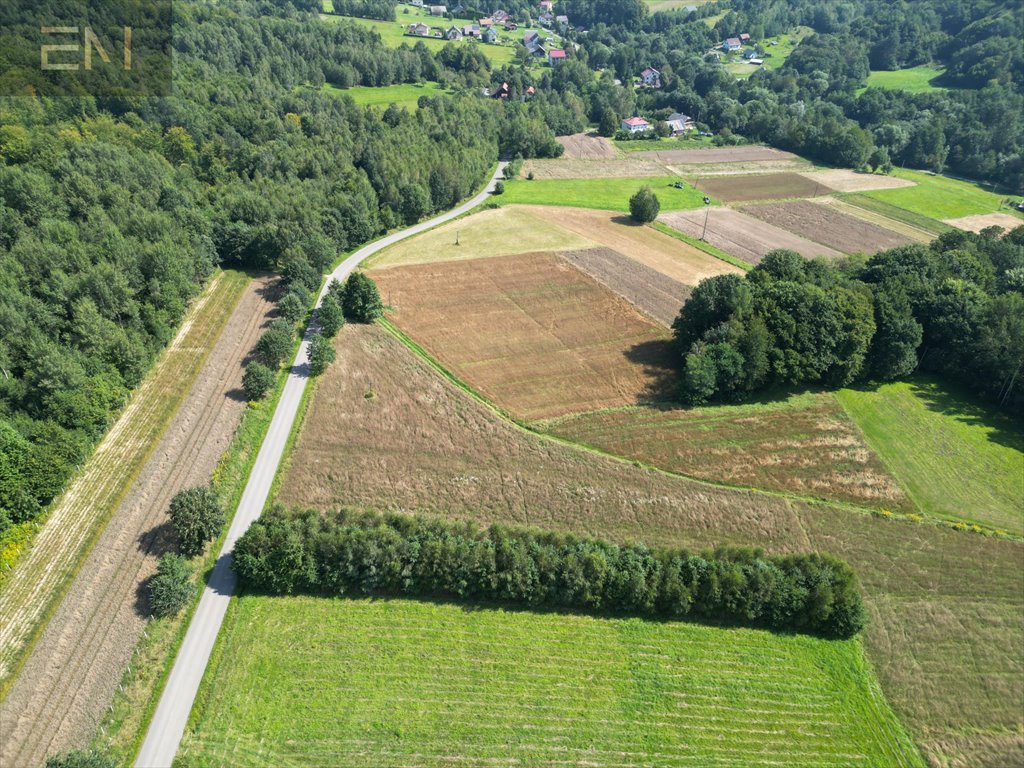 Działka budowlana na sprzedaż Konieczkowa  4 600m2 Foto 7