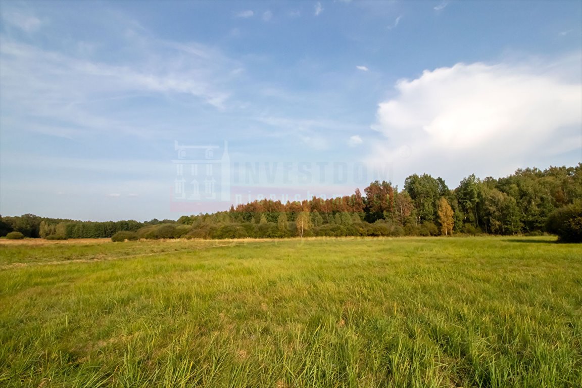 Działka inna na sprzedaż Brynica  3 900m2 Foto 2