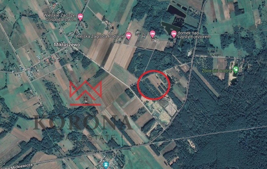 Działka rolna na sprzedaż Olchówka  6 464m2 Foto 1