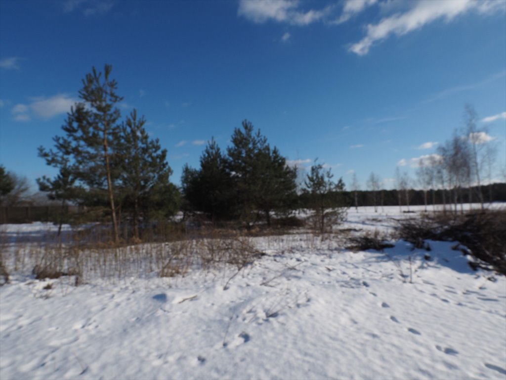 Działka budowlana 1200 m² z warunkami zabudowy, blisko natury Wieliszew, Wieliszew, Modlińska  1 200m2 Foto 1