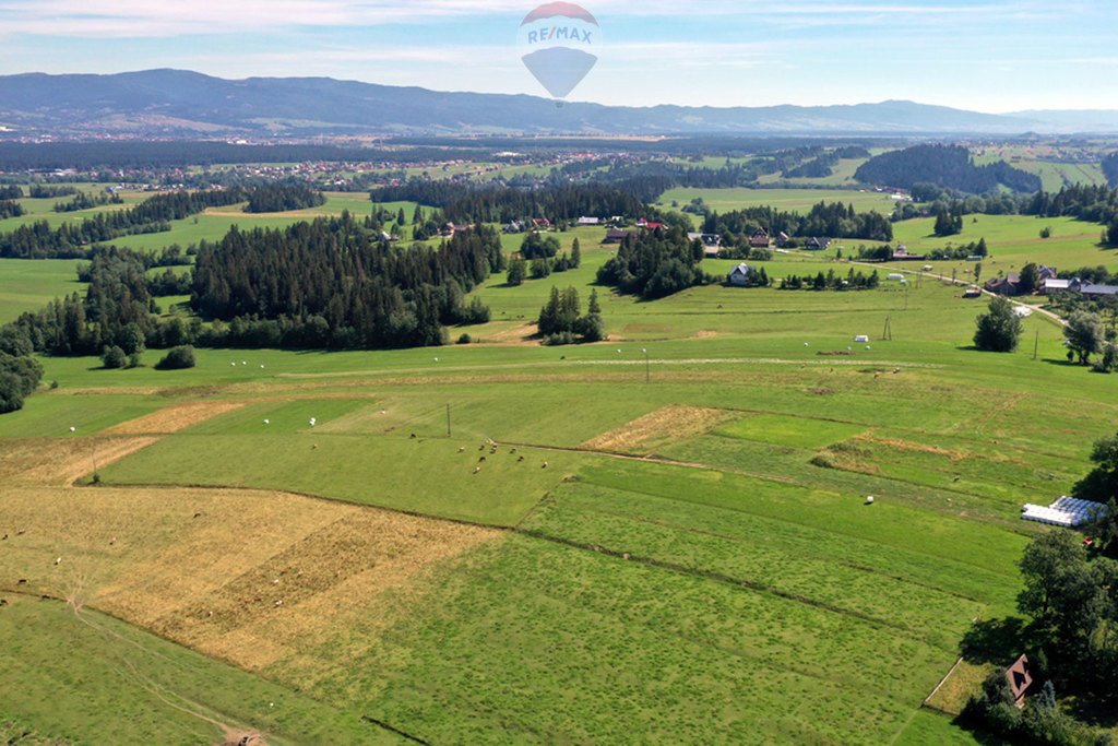 Działka rolna na sprzedaż Maruszyna  9 650m2 Foto 17