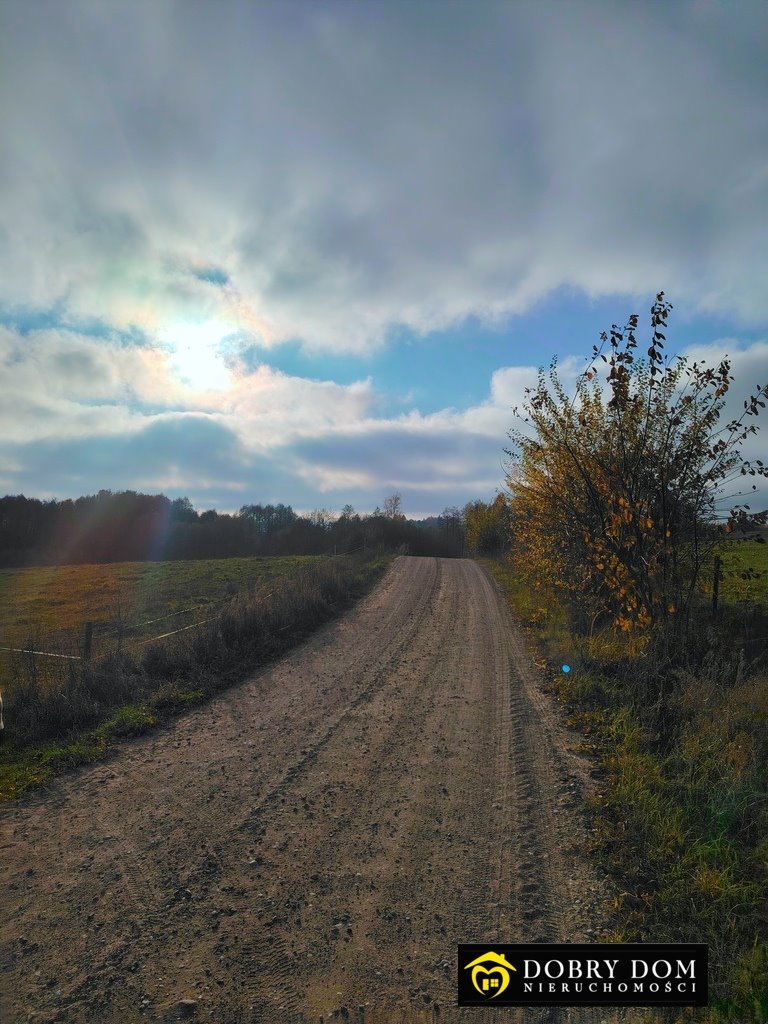 Działka rolna na sprzedaż Przerośl  43 316m2 Foto 8