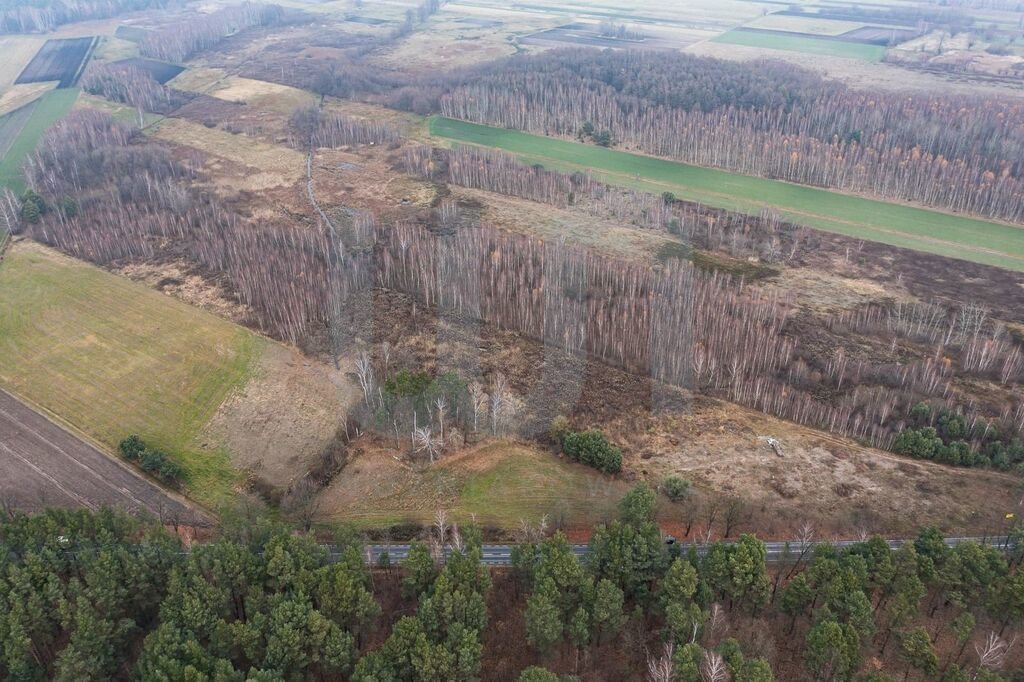 Działka komercyjna na sprzedaż Ręczaje Polskie  23 700m2 Foto 11