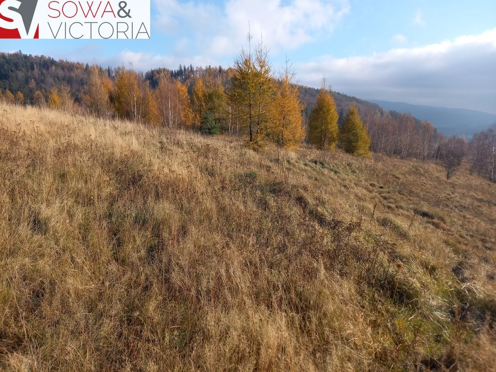 Działka budowlana na sprzedaż Jedlina-Zdrój  21 151m2 Foto 12