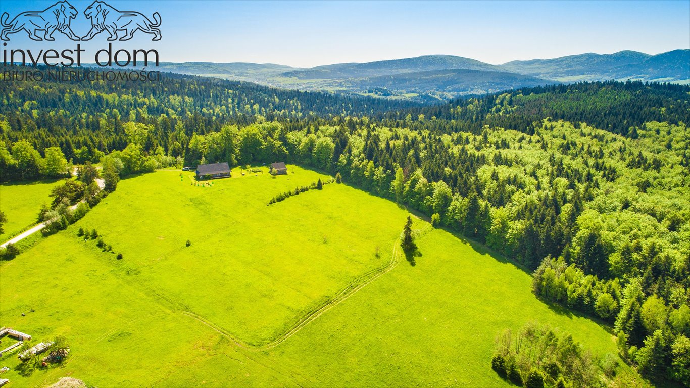 Działka budowlana na sprzedaż Uście Gorlickie  3 300m2 Foto 11