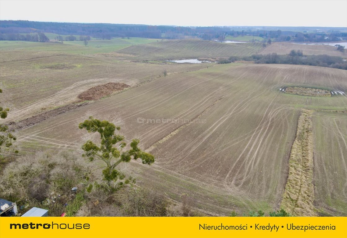 Działka budowlana na sprzedaż Nowa Wieś, Koralowa  1 200m2 Foto 2