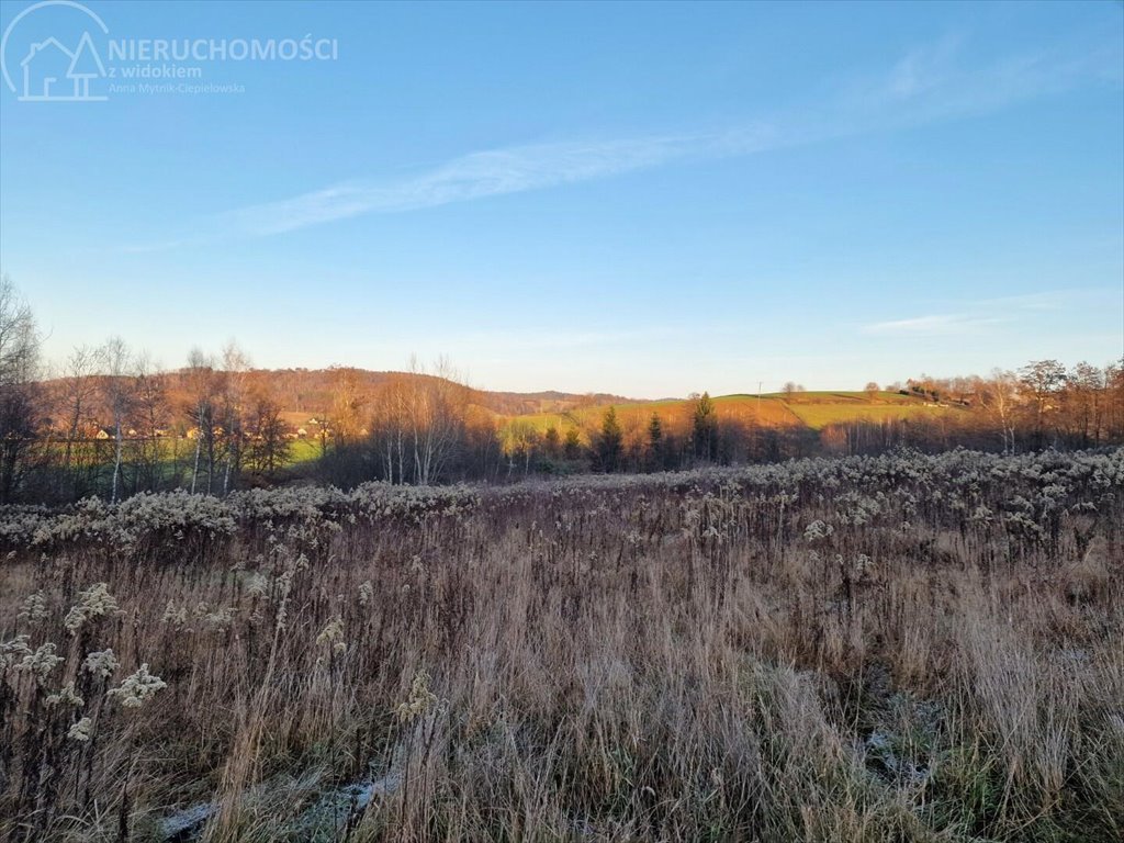 Działka budowlana na sprzedaż Gromnik  1 282m2 Foto 4