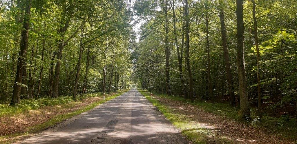 Działka budowlana na sprzedaż Tworóg Mały, Brzozowa  1 638m2 Foto 3