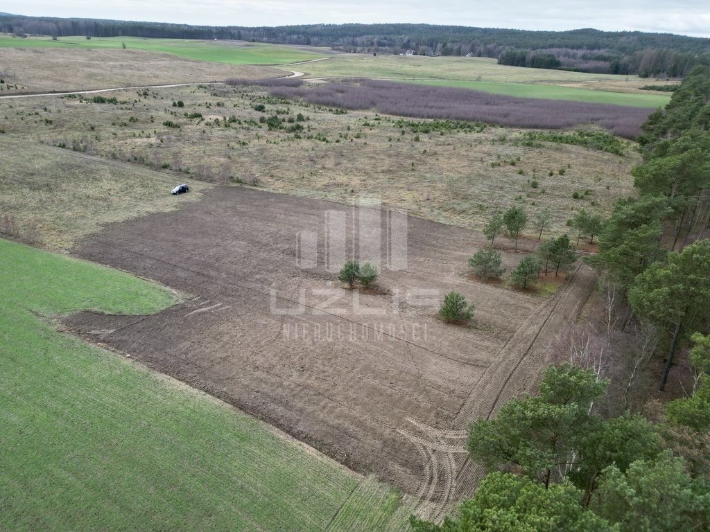 Działka inna na sprzedaż Przytarnia  1 570m2 Foto 10