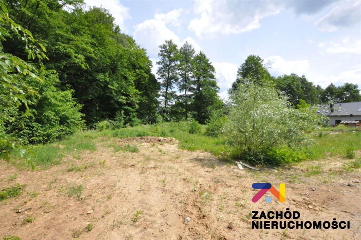Działka 1503 m² z mediami, las i dojazd asfaltowy Zielona Góra, Ochla  1 503m2 Foto 1