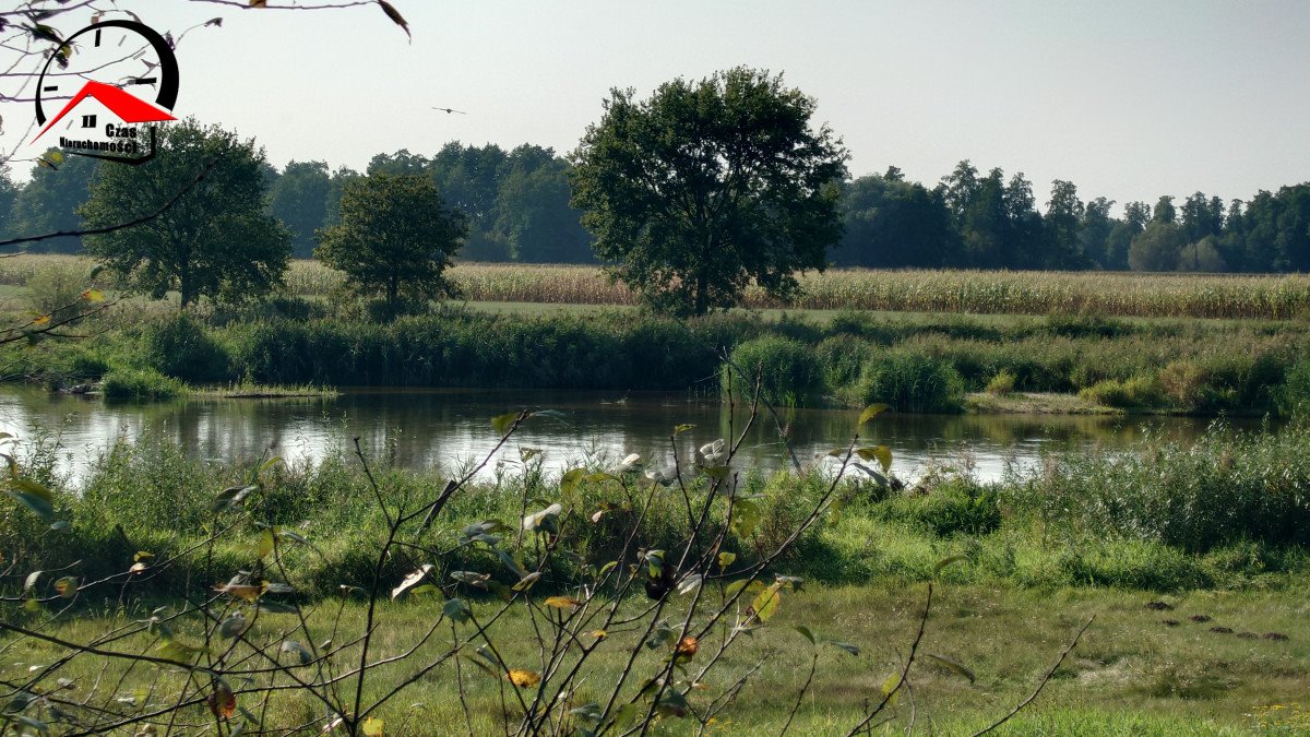 Działka gospodarstwo rolne na sprzedaż Dąbie  5 900m2 Foto 3