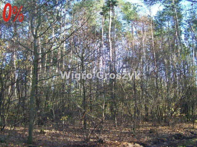 Działka leśna na sprzedaż Nasielsk, Bronin  4 561m2 Foto 10