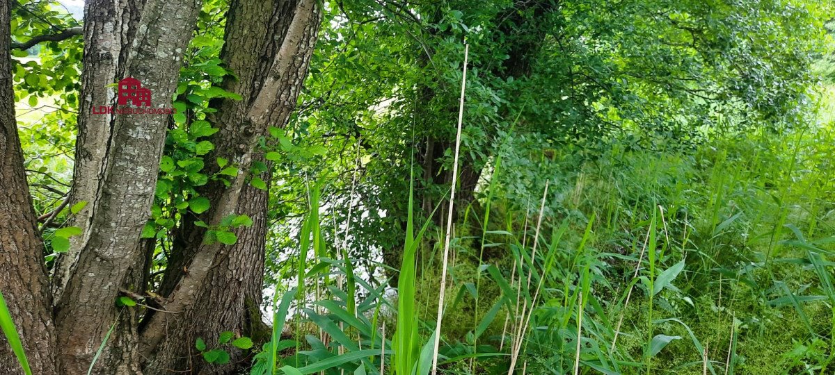 Działka leśna na sprzedaż Kębłowo  14 300m2 Foto 3